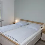 Reiterhof Gruendeich 农家乐