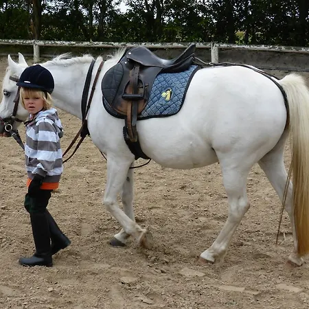 Reiterhof Gruendeich