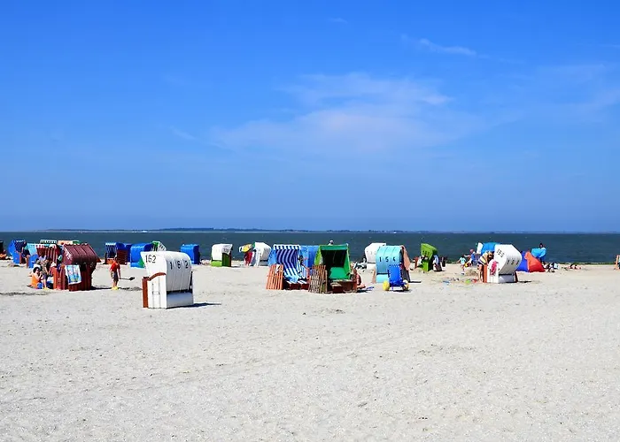 Reiterhof Gruendeich Holtgast